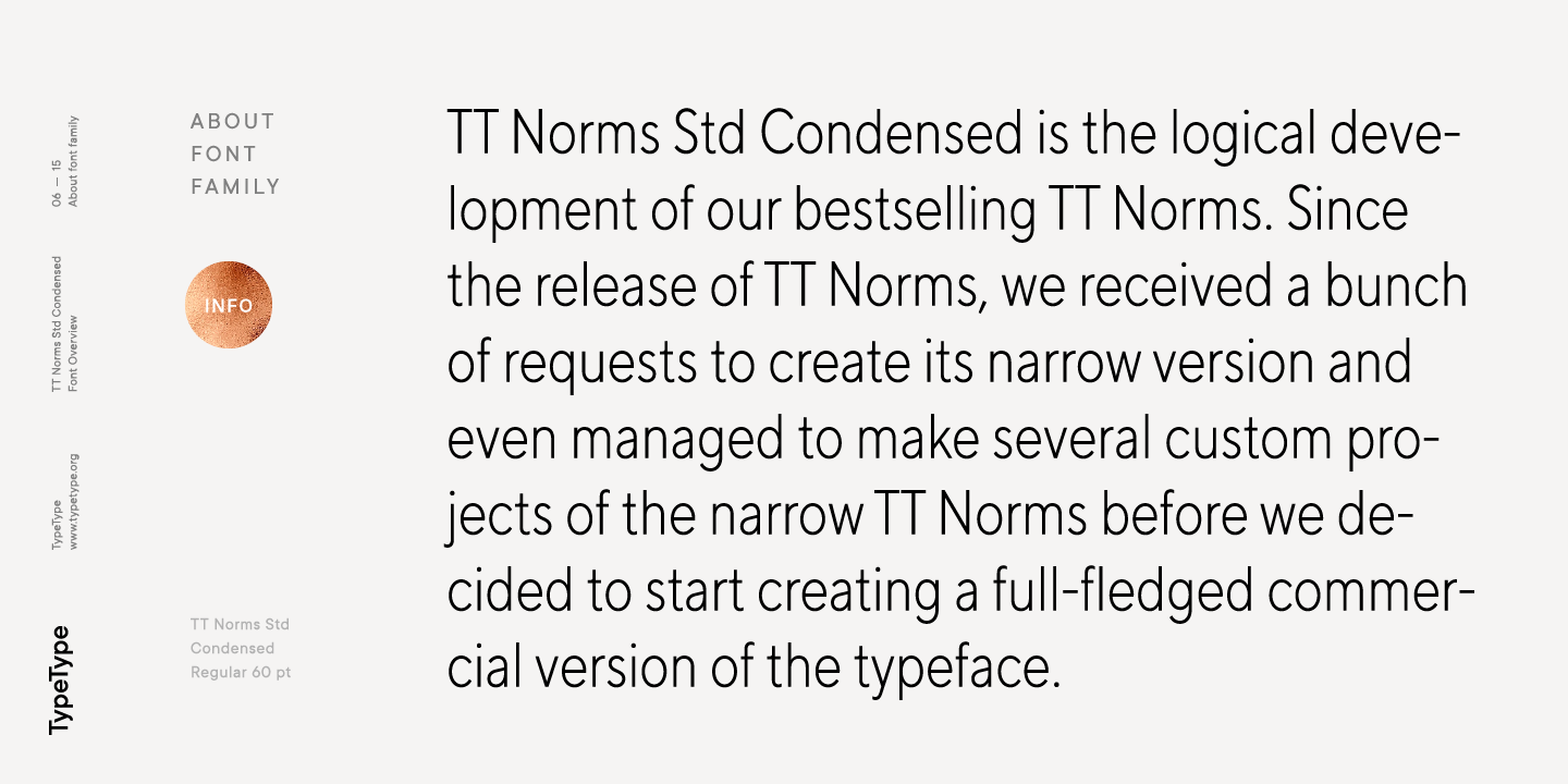 Beispiel einer TT Norms Std Condensed Normal Italic-Schriftart